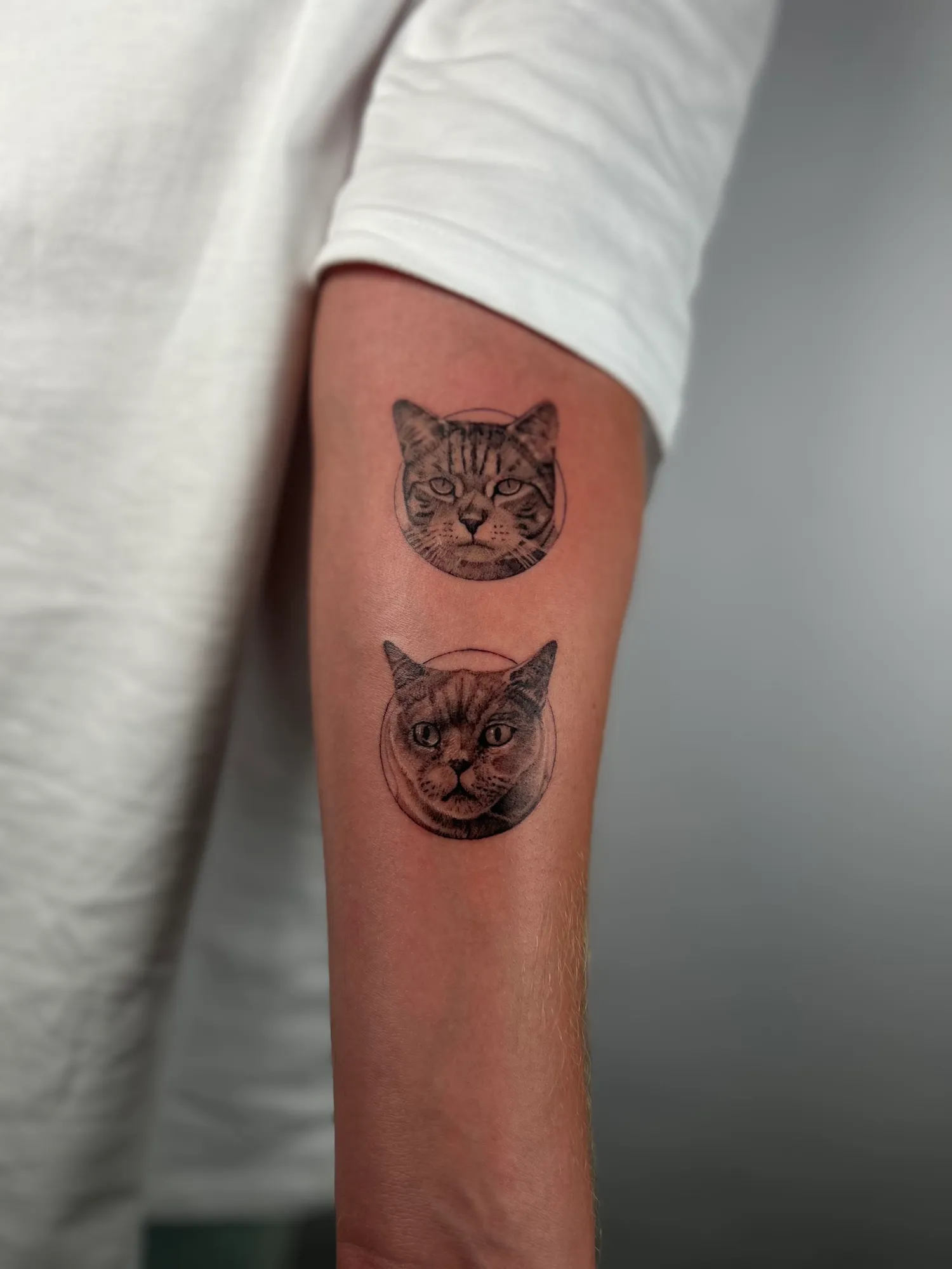 Zwei realistische Katzenporträts auf dem Oberarm